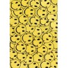 100% wełna gruby dywan z Indii 160x230 SMILE EMOTIKON
