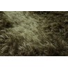 Shaggy poliestrowy dywan Brinker Carpets