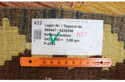 Etniczny kilim szary z Afganistanu dzieło Chobi nomadyczny 165x245cm