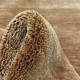 Gładki 100% wełniany dywan Gabbeh Handloom brązowy 170x240cm gładki
