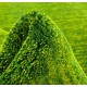 Zielony ekskluzywny dywan Gabbeh Loribaft Indie 175x245cm 100% wełniany