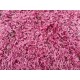 Gruby ciepły dywan shaggy wełna poliester ok 250x350cm różowy Indie