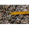Wełniany dywan Brinker Carpets Angora 170x230cm Shaggy wełna filcowana