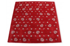 Czerwony kwiatowy dywan RUG COLLECTION do salonu 100% wełniany 170x240cm Indie Premium