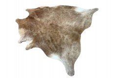 Dywan południowoamerykańska naturalna skóra bycza XL - bydlęca 5m2 UNIKAT brązowy 195x215cm
