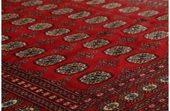 Oryginalny dywan Buchara z Pakistanu 100% wełna 2x3m czerwony