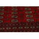 Buchara - dywan ręcznie tkany z Pakistanu 100% Wełna ok 200x300cm czerwony