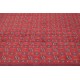 Buchara - dywan ręcznie tkany z Afganistanu 100% Wełna ok 250x350cm czerwony
