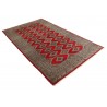 Oryginalny dywan Buchara z Pakistanu 100% wełna 155x255