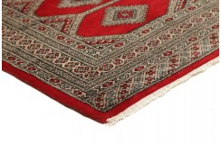 Oryginalny dywan Buchara z Pakistanu 100% wełna 155x255