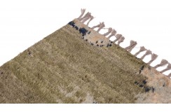 100% wełniany dywan Afgański Berber ręcznie tkany 170x240cm