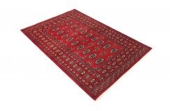 Oryginalny dywan Buchara z Pakistanu 100% wełna 120x180cm czerwony