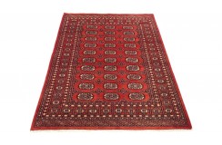 Oryginalny dywan Buchara z Pakistanu 100% wełna 120x180cm czerwony