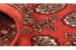 Oryginalny dywan Buchara z Pakistanu 100% wełna 120x180cm czerwony