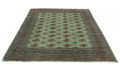 Oryginalny dywan Buchara z Pakistanu 100% wełna 200x250cm zielony