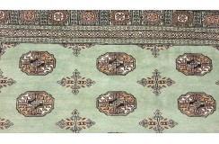 Oryginalny dywan Buchara z Pakistanu 100% wełna 200x250cm zielony