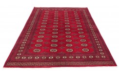 Oryginalny dywan Buchara z Pakistanu 100% wełna 200x250cm czerwony