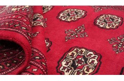 Oryginalny dywan Buchara z Pakistanu 100% wełna 200x250cm czerwony
