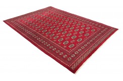 Oryginalny dywan Buchara z Pakistanu 100% wełna 200x250cm czerwony