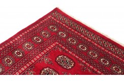 Oryginalny dywan Buchara z Pakistanu 100% wełna 200x250cm czerwony