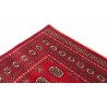 Oryginalny dywan Buchara z Pakistanu 100% wełna 200x250cm czerwony