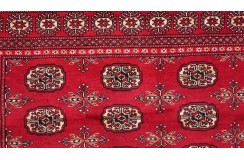 Oryginalny dywan Buchara z Pakistanu 100% wełna 200x250cm czerwony