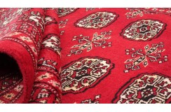 Oryginalny dywan Buchara z Pakistanu 100% wełna 200x250cm czerwony