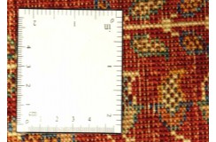 Ariana Shaal ręcznie tkany dywan Ziegler z pakistanu 100%wełna 170x240