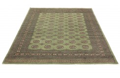 Oryginalny dywan Buchara z Pakistanu 100% wełna 250x300cm zielony