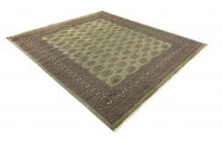 Oryginalny dywan Buchara z Pakistanu 100% wełna 250x300cm zielony