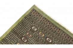 Oryginalny dywan Buchara z Pakistanu 100% wełna 250x300cm zielony
