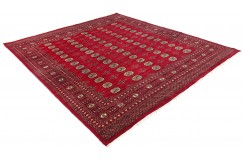 Oryginalny dywan Buchara z Pakistanu 100% wełna 250x300cm czerwony