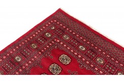 Oryginalny dywan Buchara z Pakistanu 100% wełna 250x300cm czerwony