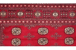 Oryginalny dywan Buchara z Pakistanu 100% wełna 250x300cm czerwony