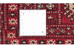 Oryginalny dywan Buchara z Pakistanu 100% wełna 250x300cm czerwony