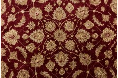 Ziegler Classic ręcznie tkany dywan z Afganistanu 100%wełna 300x300