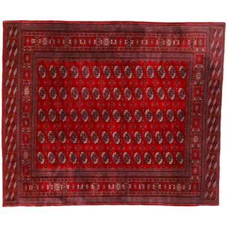 Beludż (Belutsch) Turkmen Buchara - dywan ręcznie tkany z Afganistanu 100% Wełna 250x300cm