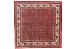Klasyczny bogaty dywan Indo Bidjar Fein 100% wełna 250x250cm, gęsto ręcznie tkany kwadratowy