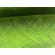 Gładki 100% wełniany dywan Gabbeh Handloom zielony 140x200cm 2cm gruby