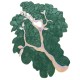  Dwupoziomwy niereguralny dywan Ascethic Bonsai Tree AB-230 Green, 100% wełna, ręcznie wykonany