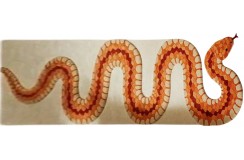  Wycinany nieregularny dywan Optimistic Snake OS-284 Orange, 100% wełna, ręcznie wykonany, przycinany