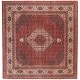 Ekskluzywny dywan Bidjar (Bidżar) z Iranu ok 250x250cm 100% wełna ręcznie tkany herati