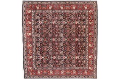 Luksusowy granatowy dywan Bidjar (Bidżar) z Iranu ok 250x250cm 100% wełna ręcznie tkany herati