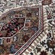 100% Wełniany ręcznie tkany dywan Royal Bijar Elegance Rug 256 cream Indo - Bidjar z Indii chodnik 80x250cm orientalny brązowy
