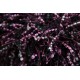 Niezwykły lśniący dywan shaggy Brinker Carpets Romance Femme 200x300cm wysoki włos i wysoka jakość wykonania czarny/fiolet