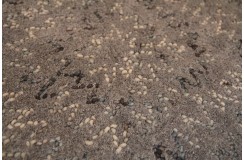 Salonowy nowoczesny dywan taftowany 100 % wełny Brinker Carpets