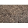 Salonowy nowoczesny dywan taftowany 100 % wełny Brinker Carpets