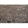 Salonowy nowoczesny dywan taftowany 100 % wełny Brinker Carpets