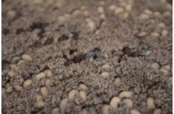 Salonowy nowoczesny dywan taftowany 100 % wełny Brinker Carpets