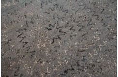 Salonowy nowoczesny dywan taftowany 100 % wełny Brinker Carpets